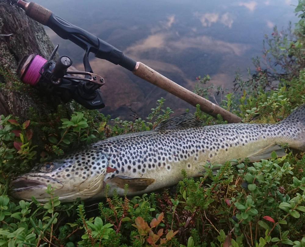 Fiske i Idre fjäll vid Chillouthouse.